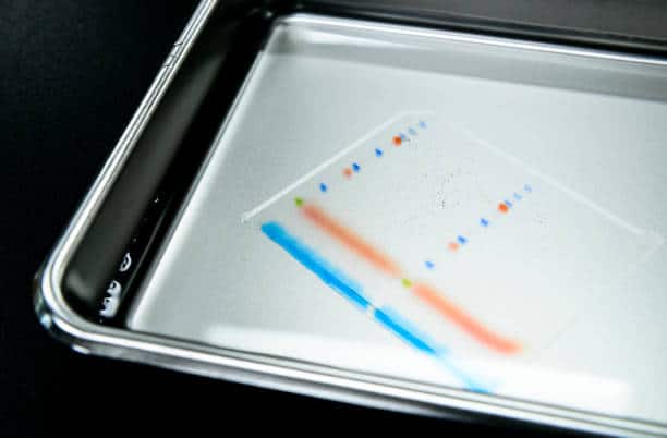 Colorimetry-is-one-way-to-monitor-chlorine-dioxide (en inglés)