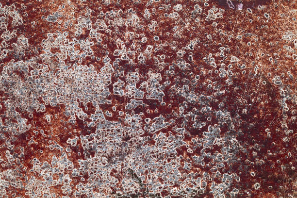 Corrosión inducida por microbios en la corrosión de tuberías